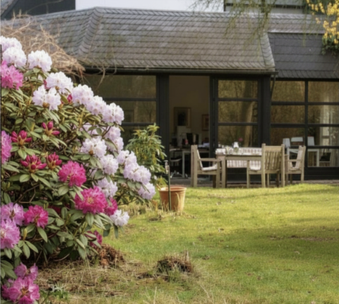 Boutique Büro mit Terrasse und Rhododendren am Campus Sollbrüggen